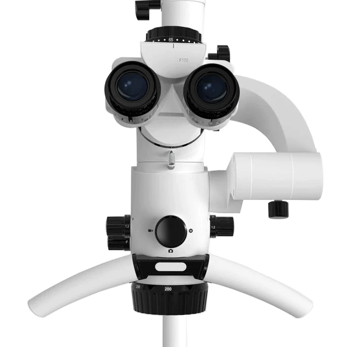 7qtj5zxc06wita0j6r3w4msouj9cc3uo