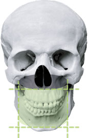 загруженное (1).jpeg