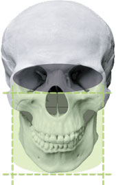 загруженное (2).jpeg