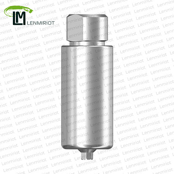 Заготовка индивидуального абатмента  D=10 мм Standart для холдера ARUM, MIS NP