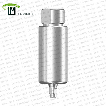 Заготовка индивидуального абатмента  D=10 мм Standart для холдера ARUM,Straumann Bone Level RC