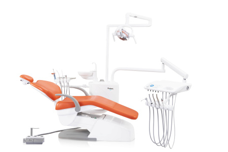 乐菲22_11_220652(3)