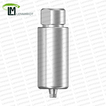 Заготовка индивидуального абатмента  D=10 ASTRA TECH 3.5/4.0, включая 2 винта